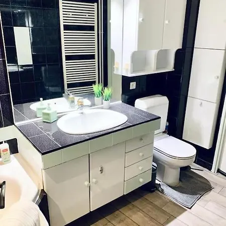 Tour De L'europe, En Plein Centre Avec Parking. ミュルーズ