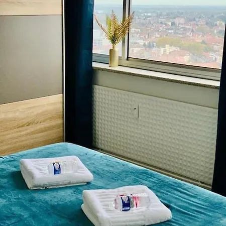 Tour De L'europe, En Plein Centre Avec Parking. アパート ミュルーズ