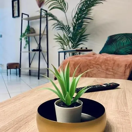 アパート Tour De L'europe, En Plein Centre Avec Parking.