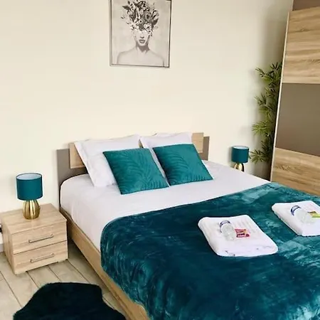 Tour De L'europe, En Plein Centre Avec Parking. ミュルーズ