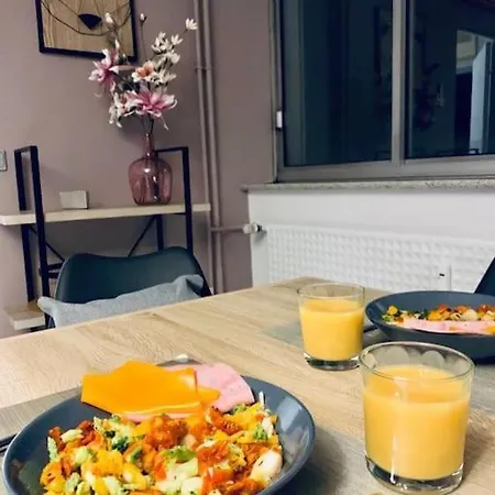 Tour De L'europe, En Plein Centre Avec Parking. アパート