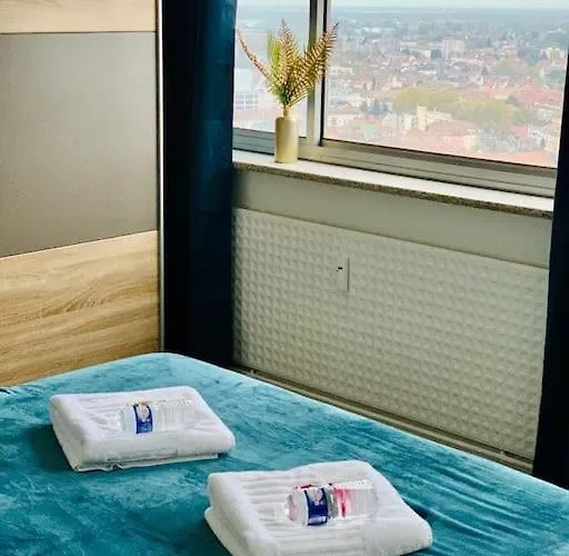 Tour De L’europe, En Plein Centre Avec Parking. Appartement Mulhouse